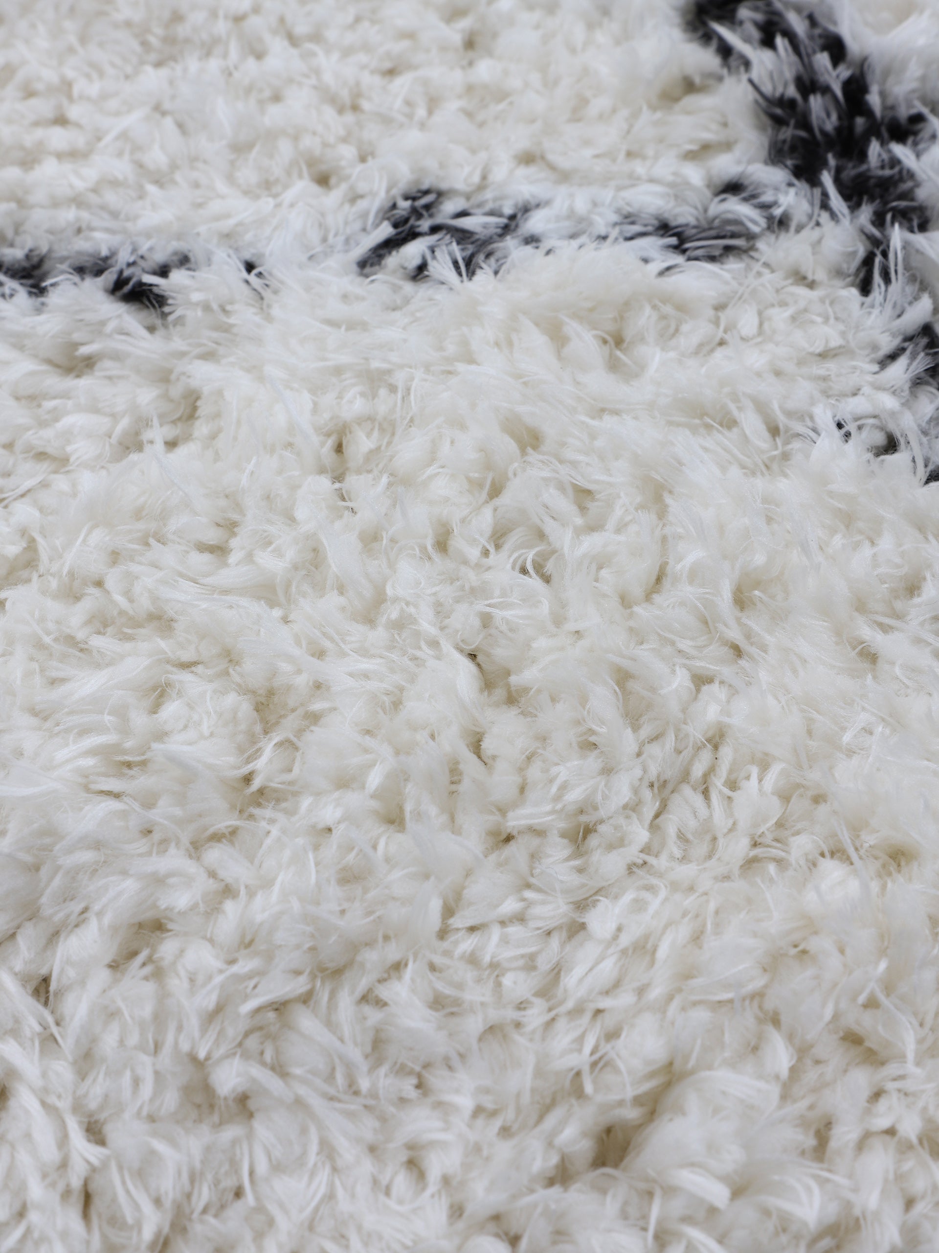 Hochflorteppich Eddy